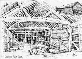 orchard02.jpg (233850 bytes)