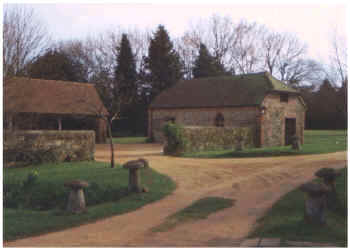 Goldr3a.jpg (542779 bytes)