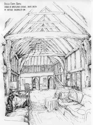 beech01.JPG (2036859 bytes)